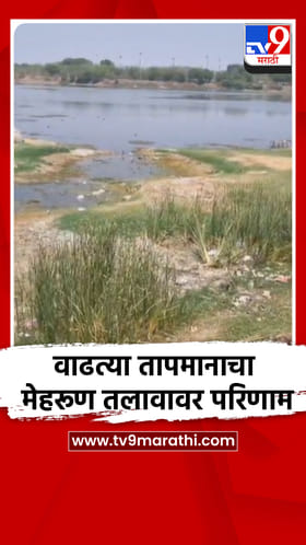 वाढत्या तापमानाचा मेहरूण तलावावर परिणाम