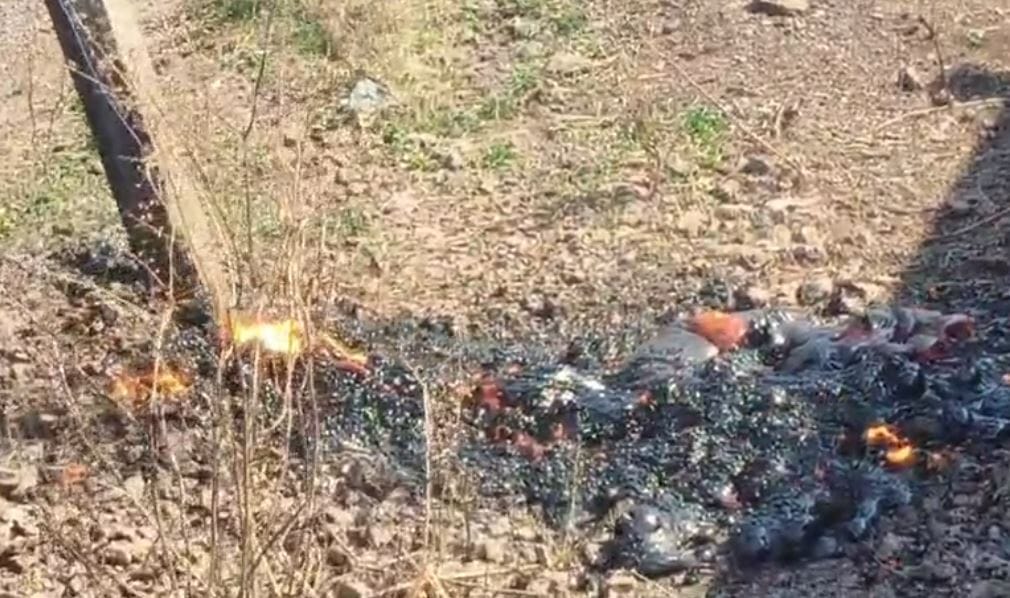 सोशस मीडियावरही या घनटेचा व्हिडीओ व्हायरल झाल्याने लोकांमध्ये वेगवेगळी चर्चा रंगल्याचे पाहायला मिळाले. पृथ्वीच्या पोटातून ज्वालामुखी तर बाहेर पडत नाहीये ना? असा सवाल तेथील लोकांककडून केला जात आहे.  दरम्यान, या घटनेची माहिती मिळताच आपत्ती व्यवस्थापन विभागाच्या अधिकाऱ्यांनी घटनास्थळी धाव घेतली.