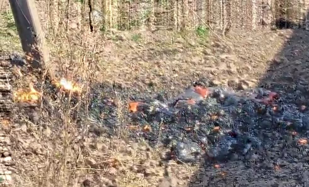  विद्युत तारांमध्ये तांत्रिक बिघाड झाल्याने हा प्रकार घडला. त्या परिसरात खडकाळ जमीन असल्यामुळे तीव्र विद्युत प्रवाहामुळे खडक वितळून ज्वलनशील पदार्थ बाहेर येताना दिसले, अले आपत्ती व्यवस्थापन अधिकाऱ्यांनी सांगितले आहे. 