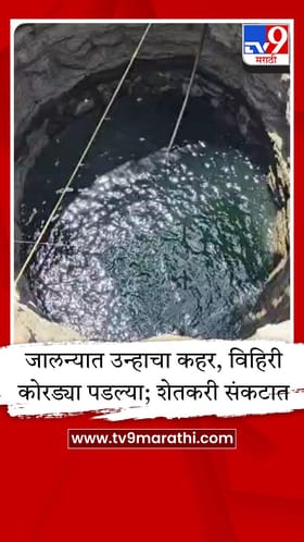 जालन्यात उन्हाचा कहर, विहिरी कोरड्या पडल्या; शेतकरी संकटात