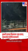 पुणे - कुकडी पुलावर बिबट्याचा मुक्त संचार; जुन्नरमध्ये भीतीचे वातावरण.