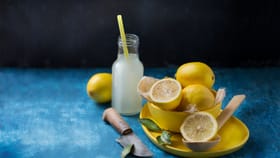 महागड्या लिंबाला म्हणा बाय बाय, शरीराला कूल ठेवण्यासाठी स्वस्त पर्याय.