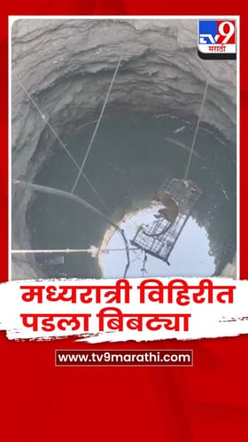 पाण्याच्या शोधात मध्यरात्री विहिरीत पडला बिबट्या