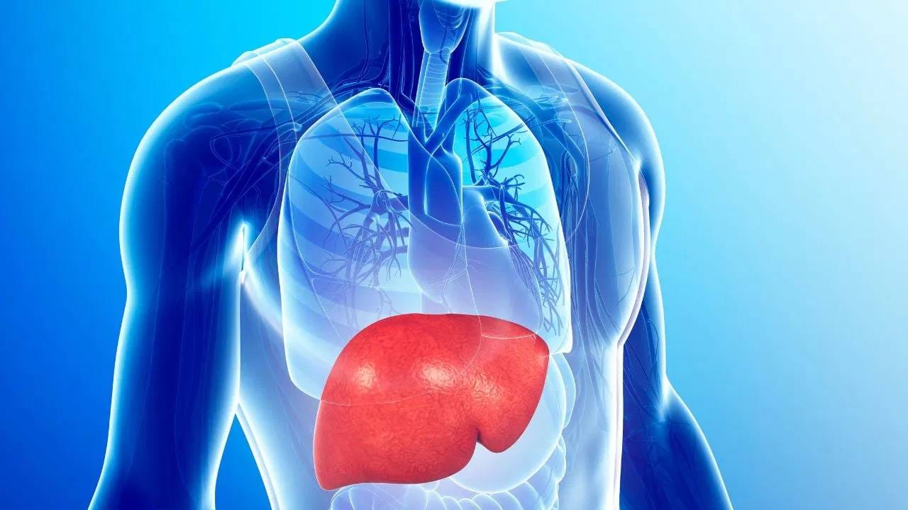 लिव्हरवर आपले पूर्ण शरीर चालते. लिव्हर खराब असेल किंवा होत असेल तर त्याचे फार काही मोठे संकेत आपले शरीर देत नाही. ज्यामुळे शेवटच्या टप्प्यात आपल्याला ही समस्या कळते. 