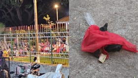 बकऱ्याचे काळीज, दारु अन् स्मशानातील... मुंबईत भोंदू बाबाचा अघोरी खेळ.