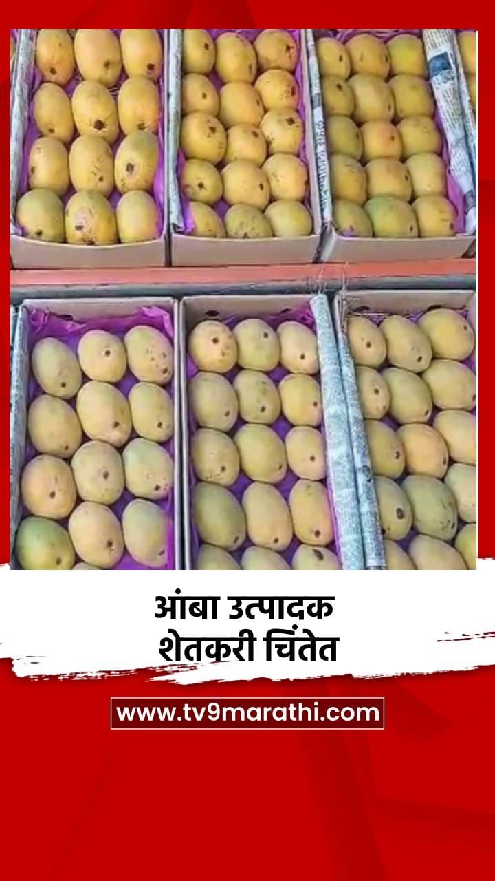 आंबा उत्पादक शेतकरी चिंतेत