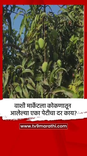 वाशी मार्केटला कोकणातून आलेल्या एका पेटीचा दर काय?