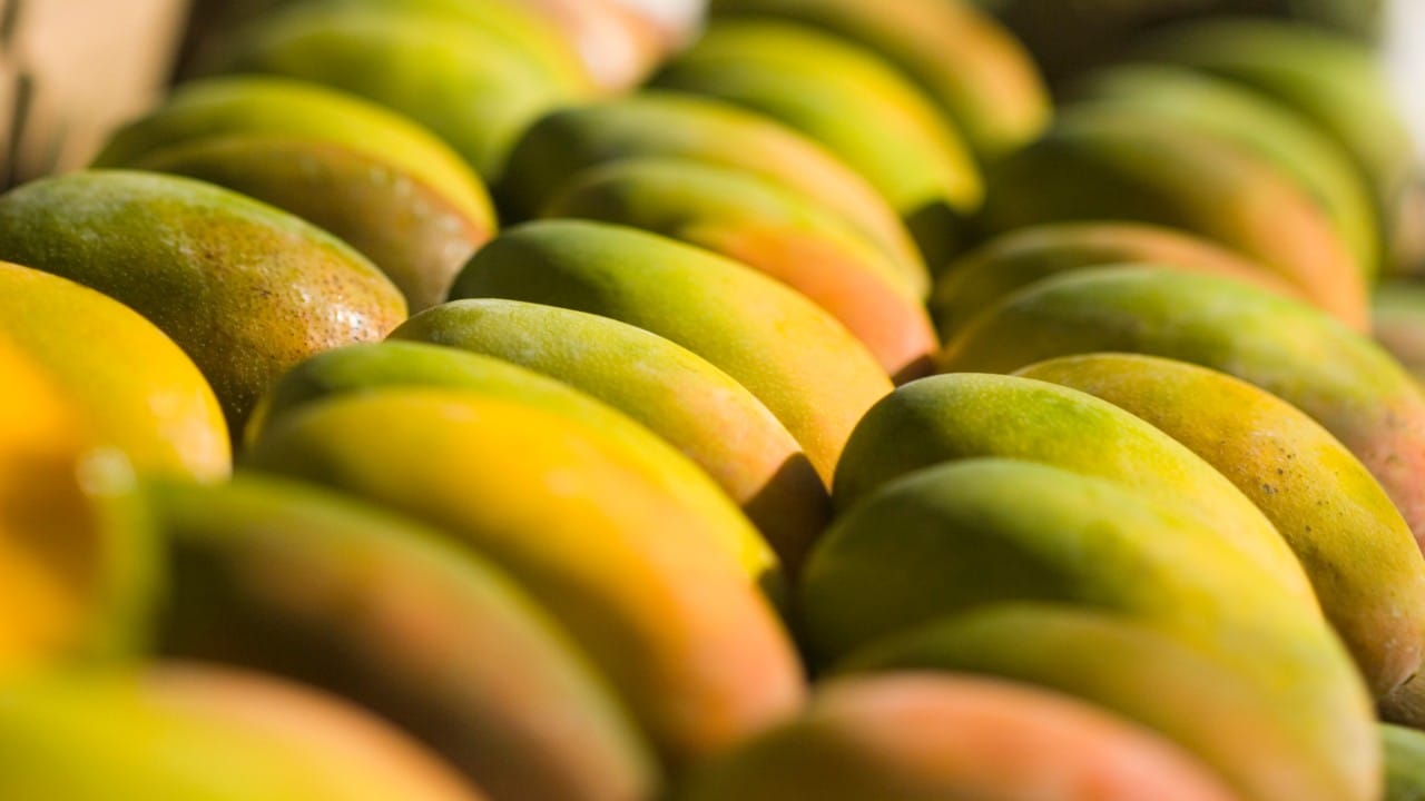 आंबा खाण्यापूर्वी किमान १-२ तास पाण्यात भिजवून ठेवावा, ज्यामुळे त्यातील उष्णता कमी होते. रात्री झोपण्यापूर्वी आंबा खाणे टाळावे, कारण यामुळे पचनात अडथळे येऊ शकतात. आमरस खाताना त्यात साखर टाकणे टाळावे, कारण आंब्यात आधीच पुरेशी नैसर्गिक साखर असते.