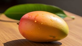 जेवणापूर्वी की जेवणानंतर; आंबा खाण्याची योग्य वेळ कोणती? चुकीच्या वेळी.