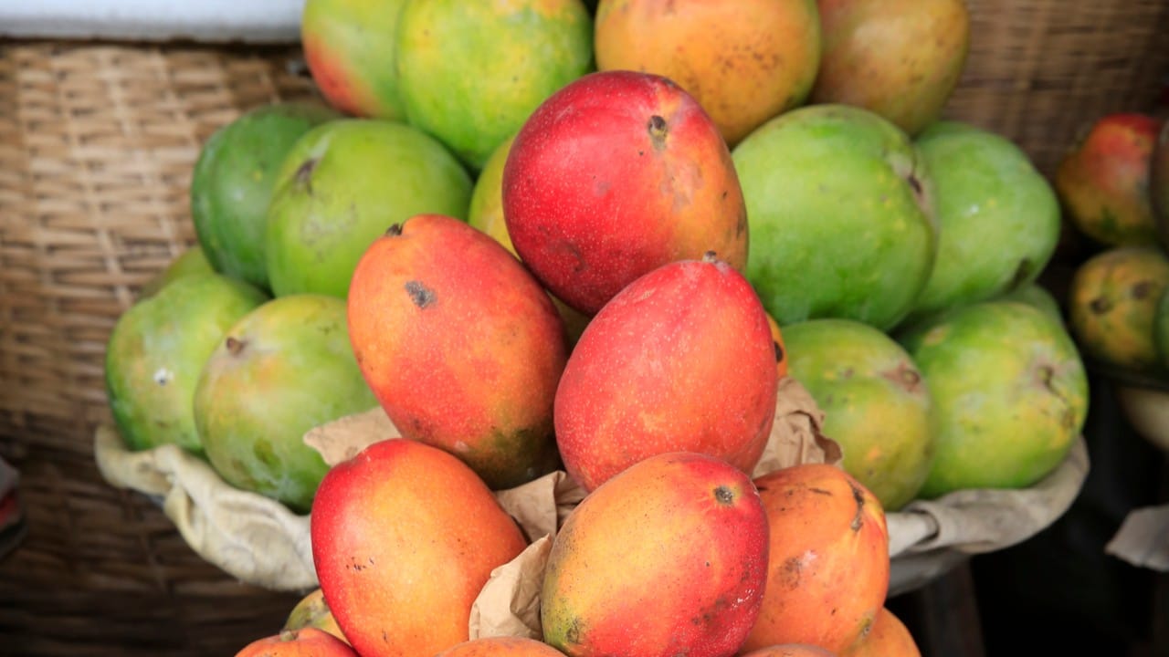 जर तुम्ही वजन कमी करण्याच्या तयारीत असाल तर तुमच्यासाठी आंबा अडथळा ठरू शकतो. आंब्यामध्ये कॅलरीज भरपूर असतात. एका मध्यम आकाराच्या आंब्यातून सुमारे १५० ते २०० कॅलरीज मिळतात, ज्यामुळे वजन वाढण्याची शक्यता असते.