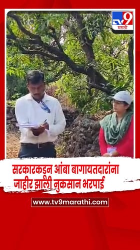 रत्नागिरी- सरकारकडून आंबा बागायतदारांना हेक्टरी 22 हजार रुपये नुकसान भरपाई जाहीर