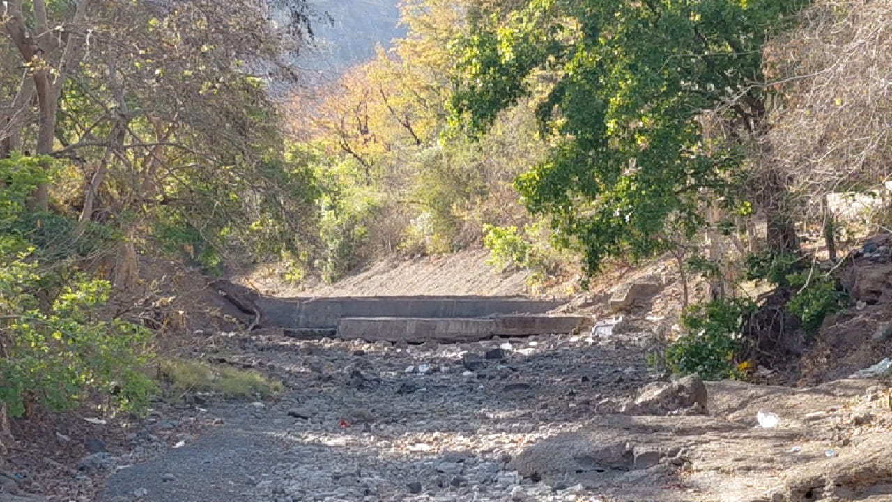 ही दृश्ये अत्यंत वेदनादायक असून जंगलातील वाढत्या पाणीटंचाईचे गंभीर चित्र समोर आणतात. गौताळा अभयारण्यात यंदा उन्हाळ्याच्या तीव्रतेमुळे नैसर्गिक पाणीस्रोत जसे की ओढे, झरे आणि तलाव पूर्णपणे कोरडे पडले आहेत. परिणामी, वन्यजीवांना पाण्यासाठी मोठी भटकंती करावी लागत आहे. 