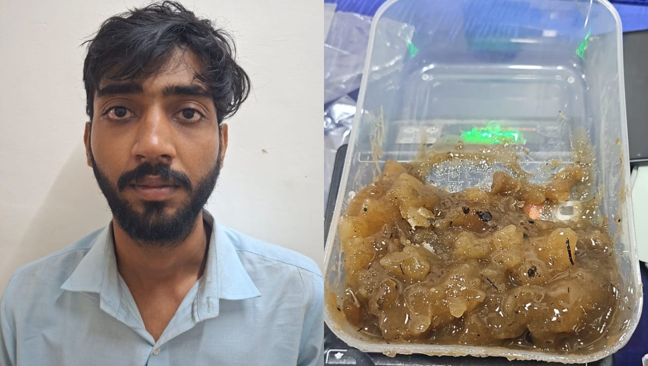 मुंबई पोलिसांची मोठी कारवाई, व्हेल माशाची उलटी पकडली, किंमत ऐकून तुमचेही डोळे पांढरे होतील!