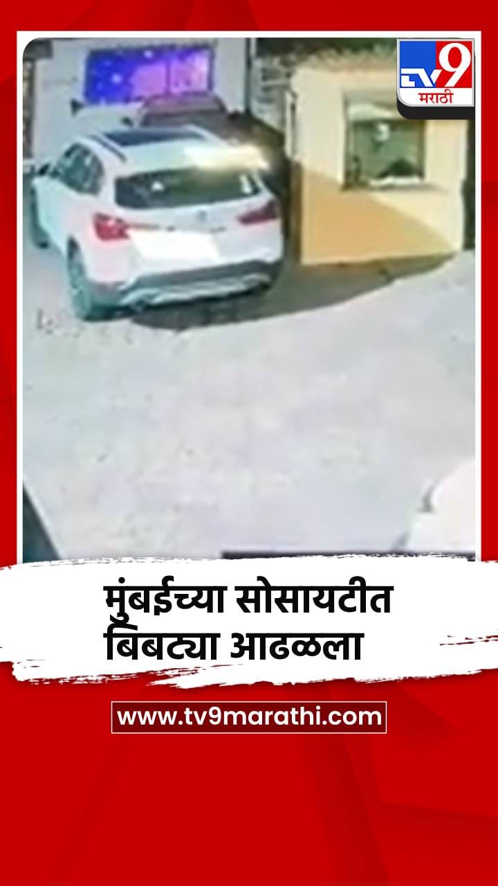 मुंबईतल्या सोसायटीत बिबट्या फिरत असल्याचा व्हिडीओ समोर