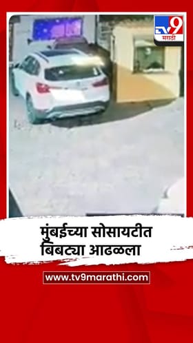 मुंबईतल्या सोसायटीत बिबट्या फिरत असल्याचा व्हिडीओ समोर