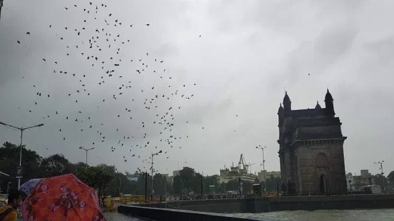 यंदा मुंबईवर दुहेरी संकट, भरसमुद्रात उंचच उंच लाटांचा खेळ, मुसळधार पाऊस आल्यास…. किती दिवस धोक्याचे?