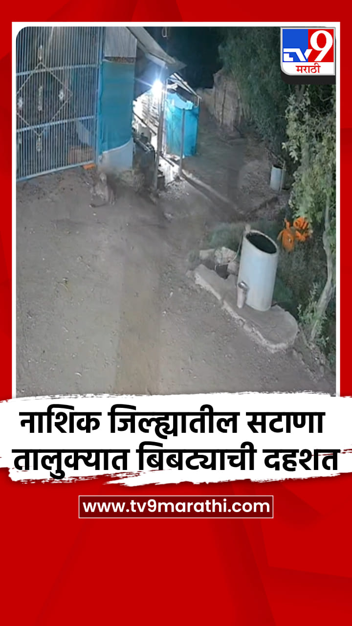 नाशिक जिल्ह्यातील सटाणा तालुक्यात बिबट्याची दहशत