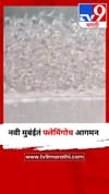 नवी मुबंईतं फ्लेमिंगोच आगमन.