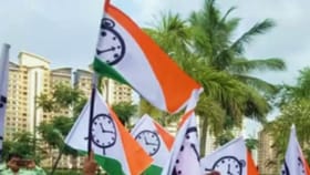 मोठी बातमी! राष्ट्रवादीत मोठी बंडखोरी, 35 जणांचे तडाकाफडकी राजीनामे.