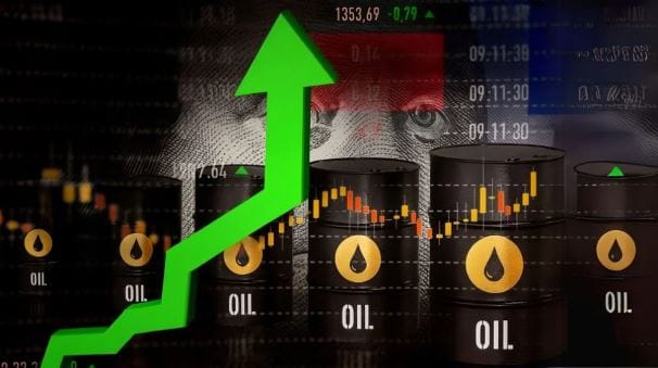 ओपेक संघटनेतून बाहेर पडल्यामुळे आता यूएई हा देश अतिरिक्त तेल उत्पादन करू शकतो. त्याच्यावर कोणाचाही दबाव नसेल. त्यामुळेच भविष्यात कदाचित तेल बाजारात अस्थिरता निर्माण होऊ शकते. तेलाच्या पुरवठा साखळीत संतुलन राहावे यासाठी ओपेक संघटनेची भूमिका खूप महत्त्वाची असते.