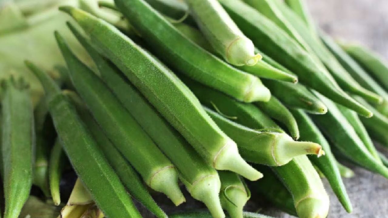 भेंडी म्हणजे एक उत्तम नैसर्गिक टॉनिक आहे. अनेक पोषक तत्वे भेंडीमध्ये आढळतात. भेंडी खाल्ल्याने आरोग्याच्या असंख्य समस्या दूर होतात. 