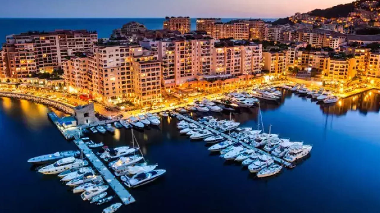 याशिवाय मोनॅको आणि व्हॅटिकन सिटी सारख्या अतिशय शहरीकृत देशांमध्येही नैसर्गिक वनक्षेत्र नाही. तसेच लिबियामध्ये सहारा वाळवंटाचा मोठा भाग असल्याने झाडे कमी आहेत. जरी झाडे कमी असली तरी या देशांमध्ये ऑक्सिजनची कमतरता जाणवत नाही. 