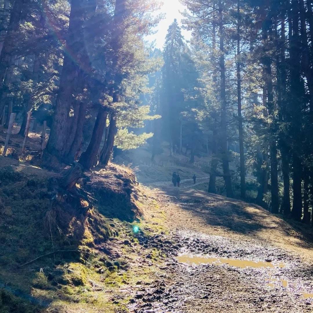  22 एप्रिल 2025 भारतासाठी एक काळा दिवस होता. मागच्यावर्षी याच दिवशी पहलगामला बैसरन घाटी फिरायला गेलेल्या पर्यटकांना दहशतवाद्यांनी टार्गेट केलं होतं. सर्वसामान्यांचे प्राण घेतले होते. या हल्ल्याने सगळ्यांनाच हादरवून सोडलेलं. हल्ल्यानंतर बैसरन घाटी सामान्य जनतेसाठी बंद करण्यात आली. ती आजही बंदच आहे.  