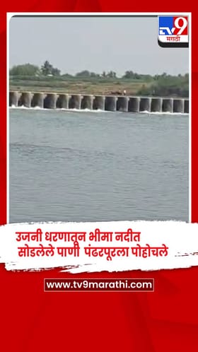 पिण्याच्या पाण्यासाठी उजनी धरणातून भीमा नदीत सोडलेलं पाणी पंढरपूरला पोहोचलं