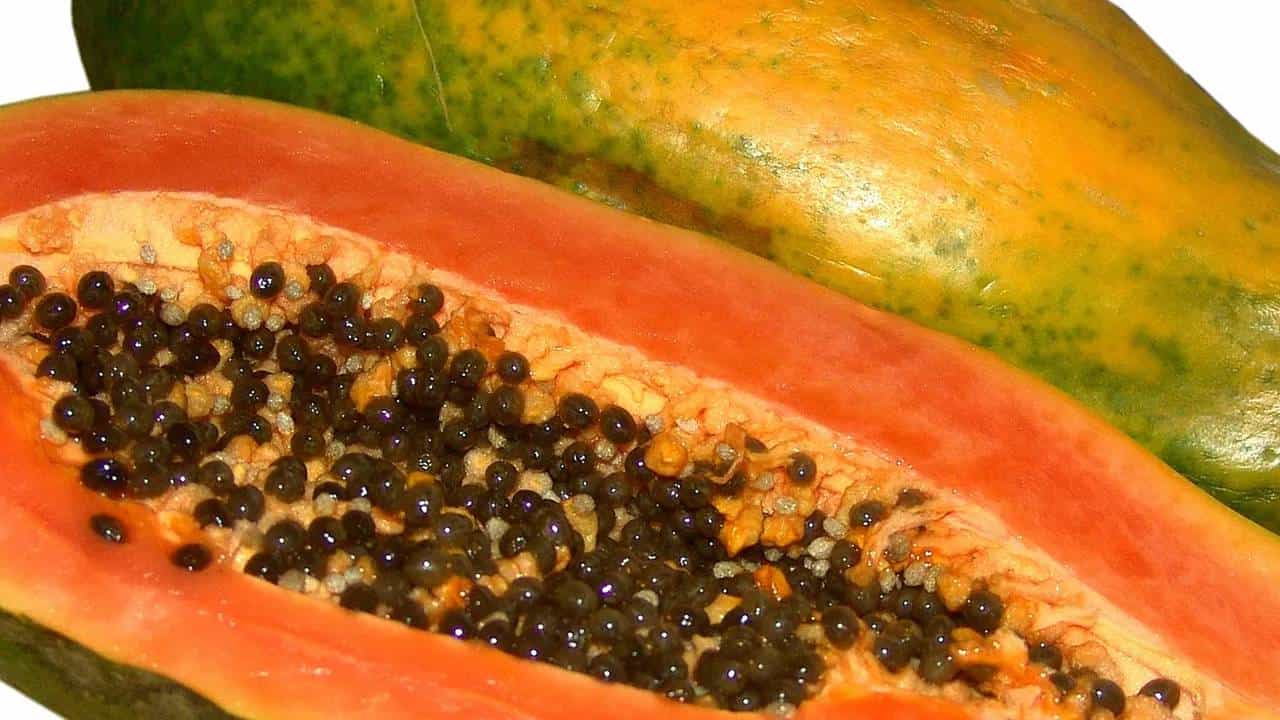 नाश्त्यात दररोज पपई खाल्ल्याने मिळतात हे 6 जबरदस्त फायदे