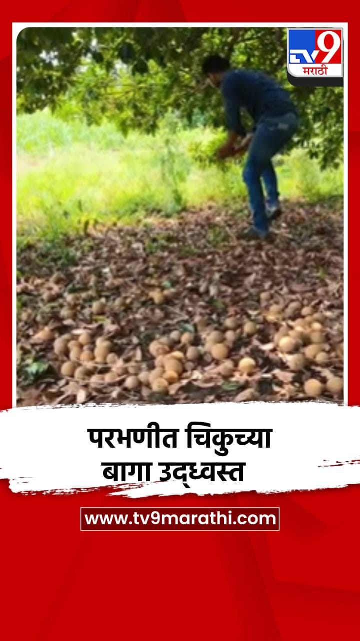 परभणीत तुफान पाऊस, आंबा, चिकुच्या बागा उद्ध्वस्त