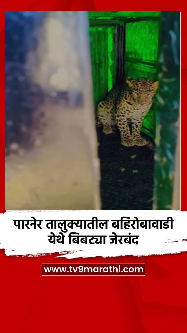 पारनेर तालुक्यातील बहिरोबावाडी येथे बिबट्या जेरबंद