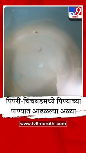 पिंपरी-चिंचवडकरांचे आरोग्य धोक्यात, थेट पिण्याच्या पाण्यात आढळल्या अळ्या