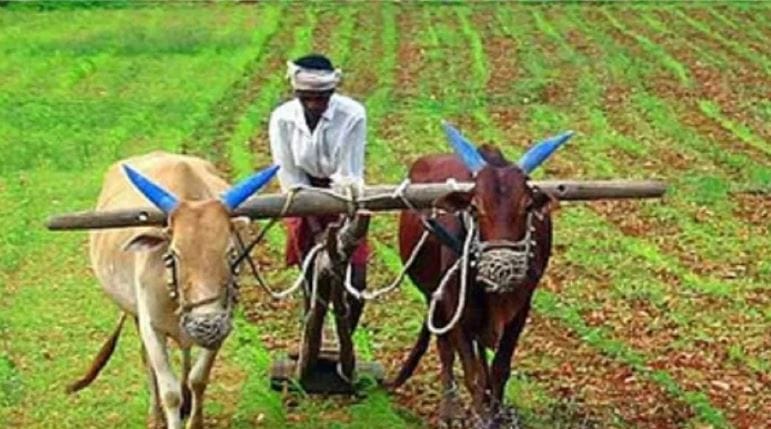 सध्या कोट्यवधी शेतकऱ्यांना या योजनेचा लाभ मिळत असला तरीही अजूनही लाखो शेतकरी या योजनेपासून वंचित आहेत. तांत्रिक कराण, केवायसी अपडेट नसणे, आवश्यक कागदपत्रांची पूर्तता न करणे या कारणांमुले या शेतकऱ्यांना या योजनेचा लाभ मिळत नाहीये. 