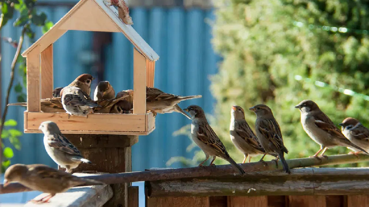 काही वेळा व्यक्तीच्या आयुष्यातील समस्या कोणत्याही मोठ्या प्रयत्नाशिवाय कमी होऊ लागतात. ज्योतिषानुसार हा सर्वात मोठा संकेत असतो की ग्रहस्थिती अनुकूल आहे आणि व्यक्तीवर दिव्य कृपा आहे.