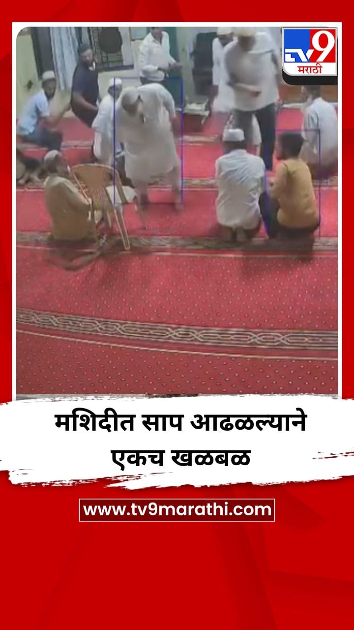 मशिदीत साप आढळल्याने एकच खळबळ