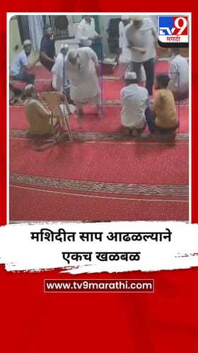 मशिदीत साप आढळल्याने एकच खळबळ