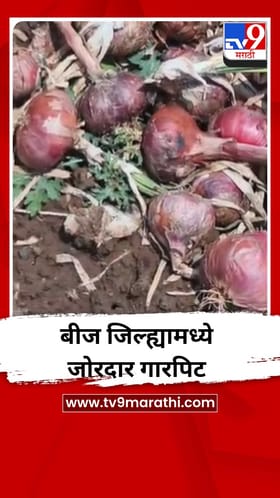 बीज जिल्ह्यामध्ये जोरदार गारपिट