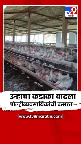 भोरमध्ये पोल्ट्री व्यवसाय अडचणीत, उन्हामुळे करावी लागतेय कसरत