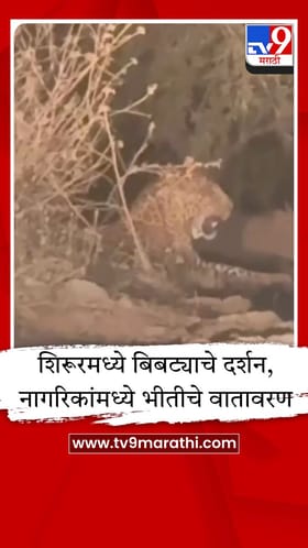 शिरूरमध्ये बिबट्याचा वावर, भक्ष्याच्या शोधात असताना कॅमेऱ्यात कैद