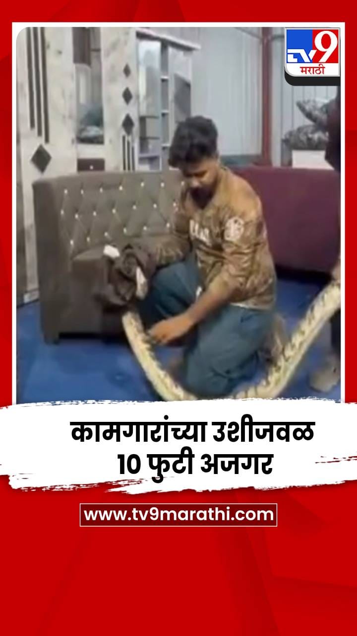 कल्याणमध्ये थरार, कामगार झोपलेले अन् उशाशी 10 फुटी अजगर