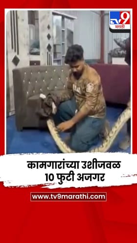 कल्याणमध्ये थरार, कामगार झोपलेले अन् उशाशी 10 फुटी अजगर