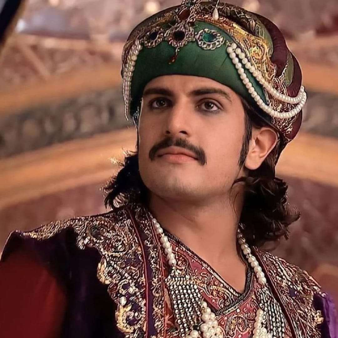 'जोधा अकबर' शिवाय त्याने शूर योद्धा पृथ्वीराज चौहान' मध्ये पृथ्वीराज चौहान आणि 'चंद्र नंदिनी' मध्ये  चंद्रगुप्त मौर्य यांच्या भूमिकेला न्याय दिला. रजत याच्या प्रोफेशनल आयुष्याबद्दल सर्वांना माहिती आहे, पण खासगी आयुष्याबद्दल कोणाला माहिती नाही.  