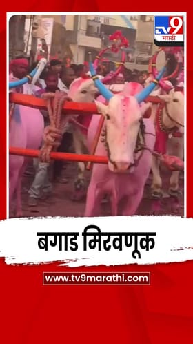 सांगलीतल्या कामेरी इथं भैरवनाथ देवाच्या यात्रेनिमित्त निघाली बगाड मिरवणूक