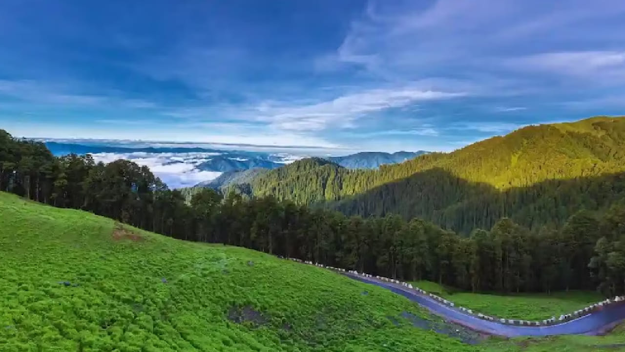 सेराज व्हॅलीमध्ये असलेले शोजा हे एखाद्या परीकथेतल्या गावासारखं भासणारं ठिकाण आहे. दाट जंगलं, धुक्याने झाकलेले डोंगर आणि शांत वातावरण हे याचं वैशिष्ट्य. इथे गजबजलेल्या कॅफे किंवा मॉल्स नाहीत पण लाकडी कॉटेज आणि सुंदर ट्रेकिंग रूट्स जरूर मिळतात. 