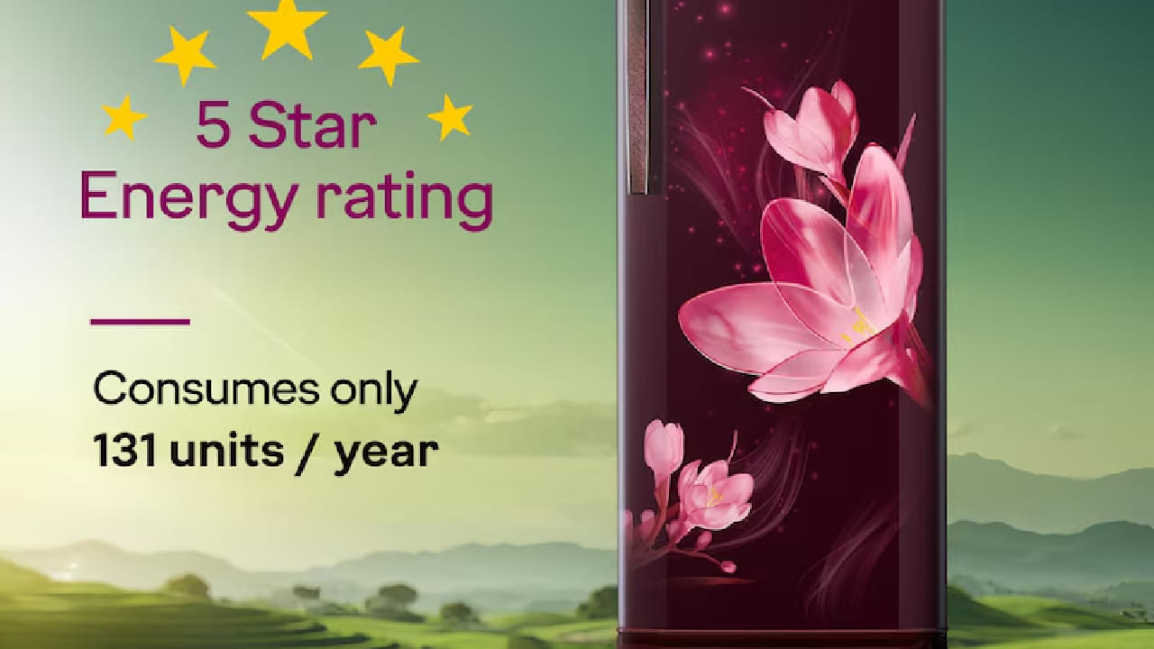 उन्हाळ्याच्या दिवसांमध्ये अन्न पटकन खराब होते आणि थंड पाणी व बर्फाची गरज वाढते. त्यामुळे फ्रिज ही आता लक्झरी नसून गरज बनली आहे. 