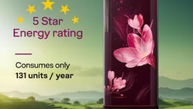 सर्वात स्वस्त फ्रिज, सर्व सामान्य लोकांसाठी एकदम खास, किंमत फक्त....