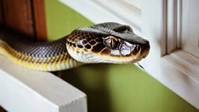 हे झाड म्हणजे सापाचा पक्का दोस्त; चुकूनही लावू नका, साप घरात येणारच