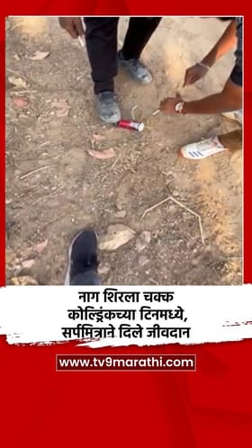 नाग शिरला चक्क कोल्ड्रिंकच्या टिनमध्ये, सर्पमित्राने दिले जीवदान