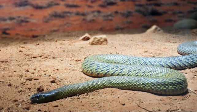 (टीप- या लेखातील सर्व माहिती ही प्राथमिक स्वरुपाची आहे. सविस्तर माहितीसाठी किंवा कोणताही प्रयोग करण्याआधी त्या-त्या क्षेत्रातील तज्ज्ञांशी संपर्क साधावा) 