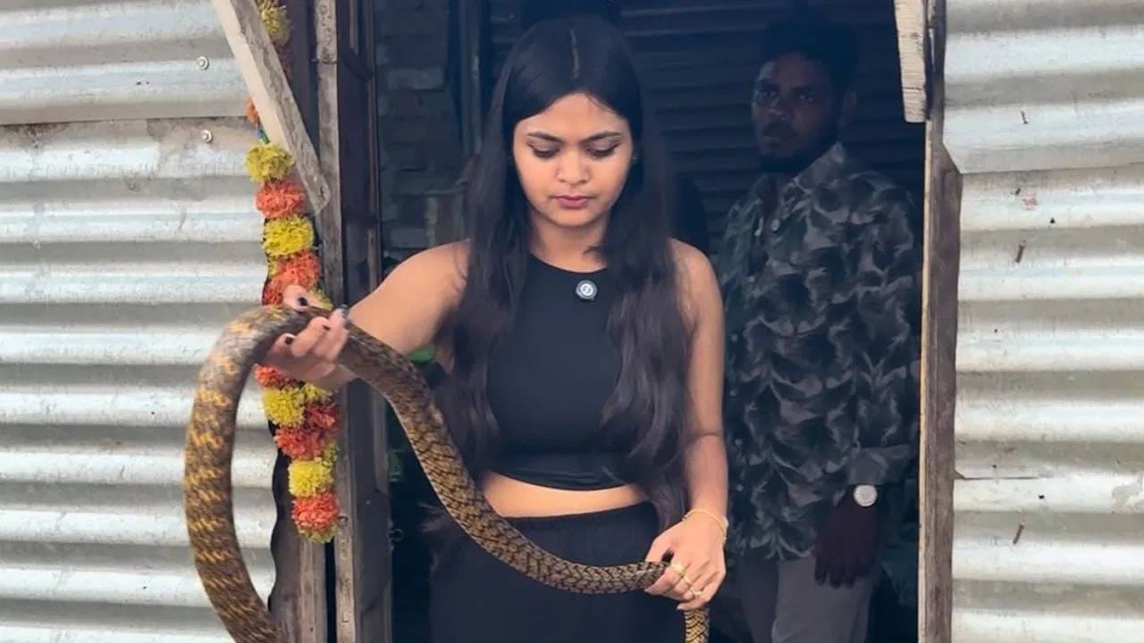 21 वर्षाच्या साहिबाचं नाव त्या लोकांमध्ये घेतलं जातं. जे स्वत:चा जीव धोक्यात घालून प्राण्यांना वाचवतात. ती पेशाने अभिनेत्री आहे. पण तिला सर्प मित्र म्हणूनही ओळखतात. तिने अनेक सापांची सुटका केली आहे. 